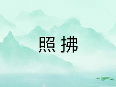 照拂