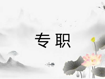 专职